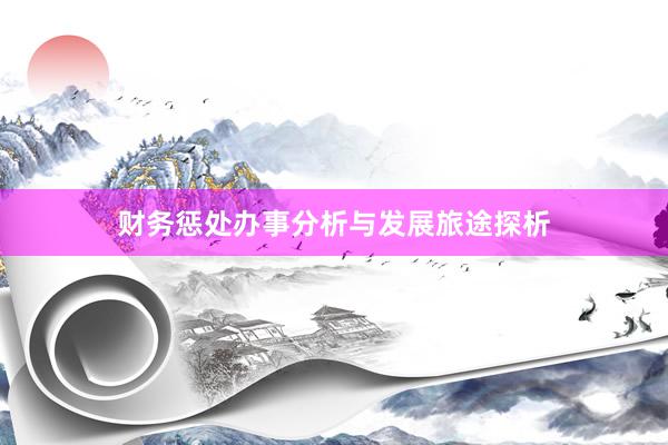 财务惩处办事分析与发展旅途探析