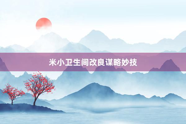 米小卫生间改良谋略妙技