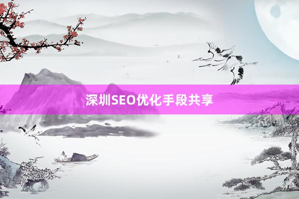 深圳SEO优化手段共享