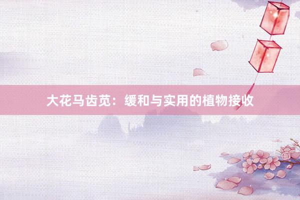 大花马齿苋：缓和与实用的植物接收